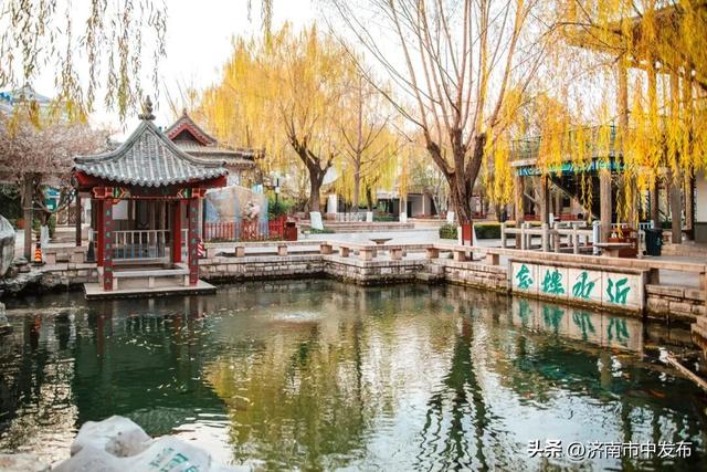 全免费！济南5个能待一天的公园推荐！散步遛娃好去处~