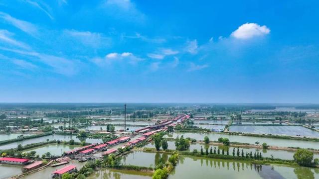 济宁文旅再添新名片！微山湖渔家水街景区成功获评国家4A级旅游景区