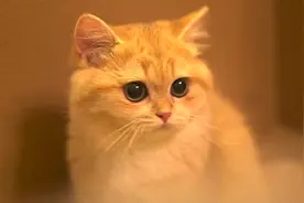 211研究生在异地县城工作三年后的6点感受图片