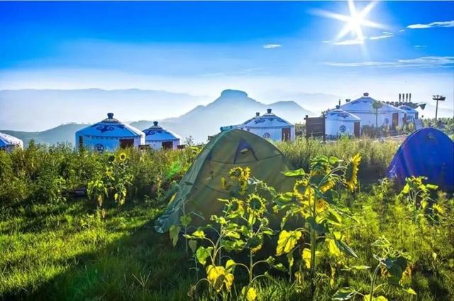 跟着色彩游临沂 | 红叶漫山・秋韵沉醉之旅 美到尖叫