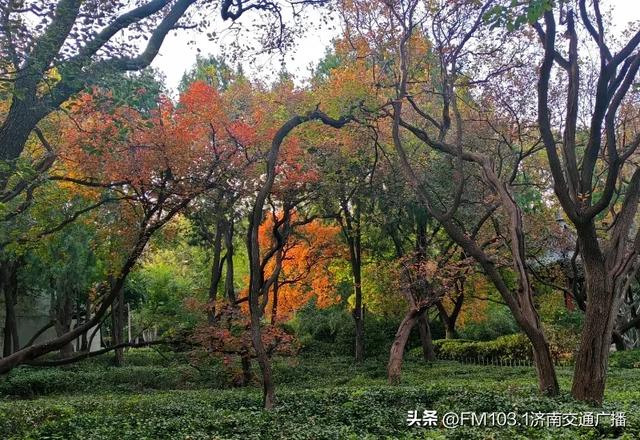 公园景区秋色图鉴，这几处必打卡