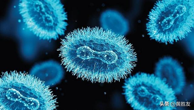 中方推进生物技术突破之际，美国议员呼吁加强国防生物科技研究。