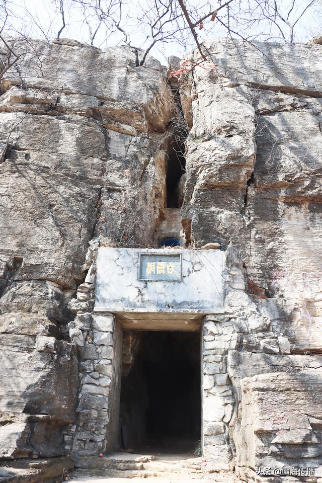 山东费县 | 有一种浪漫叫开往巨龙山的樱花列车