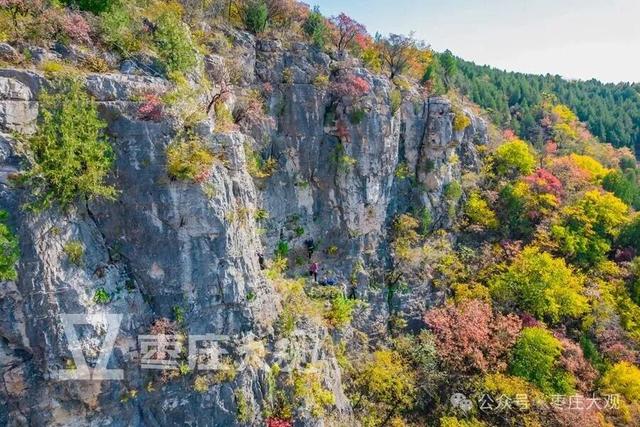 红叶季，在枣庄抱犊崮崖壁上拍到我的人生照片！