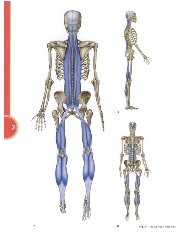 低成本抗衰，强烈推荐这个“作弊”小技巧！在家就能做