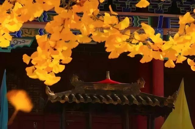 接下来的汉中，每帧都是心动画面~