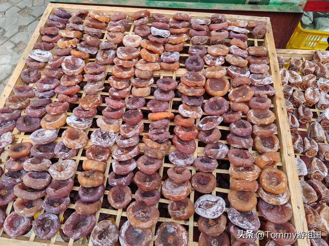 开着房车去流浪，打卡桂林恭城红岩村，漫山遍野柿子红