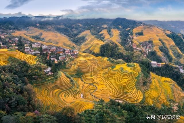 就快收割啦！上榜全国十大赏秋地的桂林龙脊梯田，你来了吗？