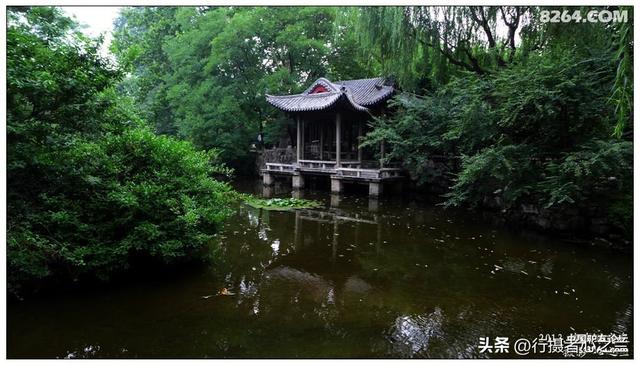 山东行游影记（11）—济南趵突泉（十一）