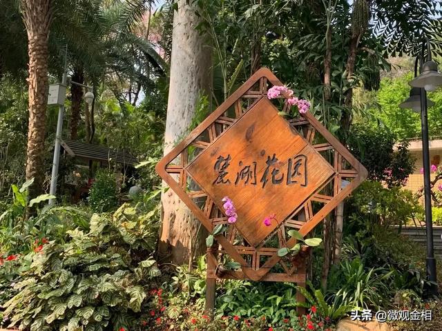 一年四季都可以去打卡的城市绿州麓湖