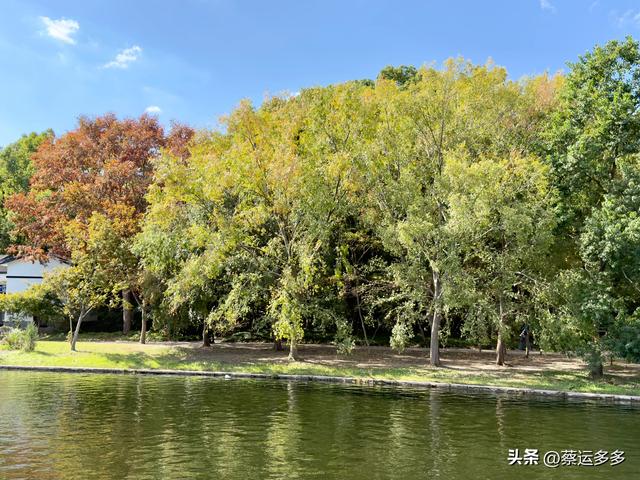 重阳节，上海赏秋之美