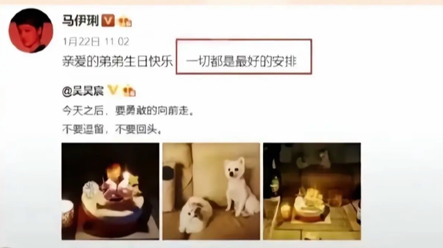 文章也没想到，马年刚开始，“听劝	”的马伊琍就掀起了一波新高潮