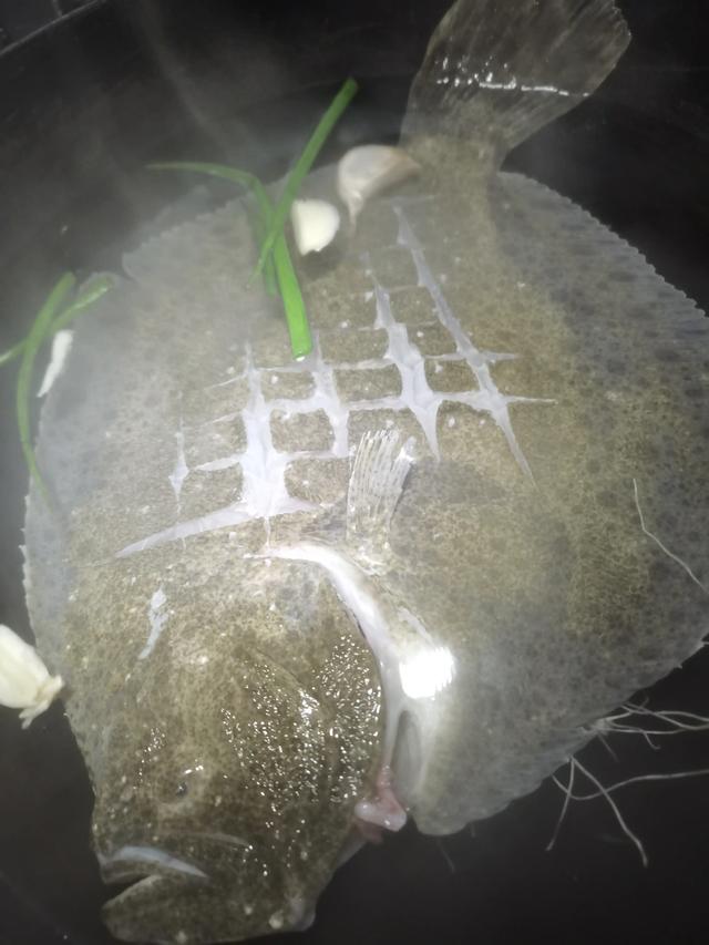 菠菜和花胶可以同吃吗 2025年菠菜可以和花胶一起吃吗 菠菜和花胶可以同吃吗 2025年菠菜可以和花胶一起吃吗