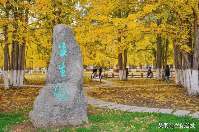 好客山东好品山东| 临沂的秋天，这10处绝美打卡地别错过！先收藏慢慢逛~