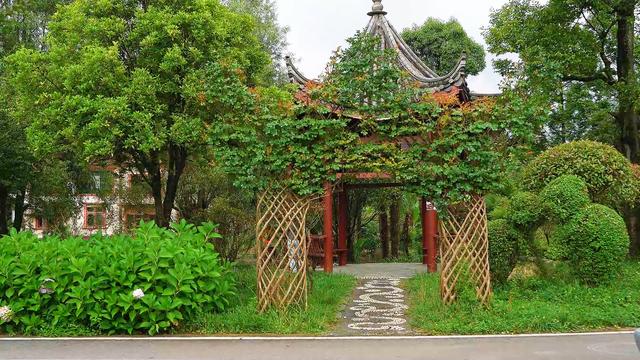 盘州市哒啦仙谷景区：清凉夏日，绿色植物园成为避暑游客热门打卡地