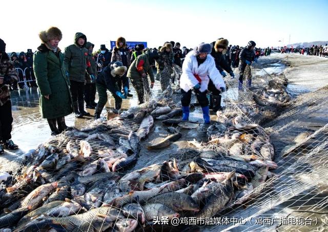 太惊喜！鸡西7条主题精品线路正式发布，每条都想打卡↘