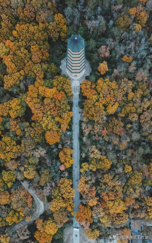 51张照片告诉你，南京的秋天有多美！