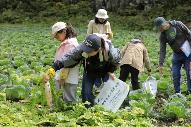 彩林逢初雪！毕棚沟2025“花样遛娃”徒步活动收获满满！
