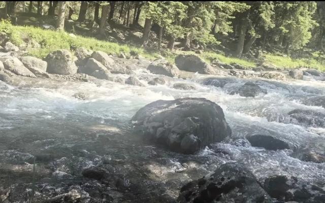 青海泥石流露营3死2失联,有10岁的孩子,幸运游客讲述惊心经历!