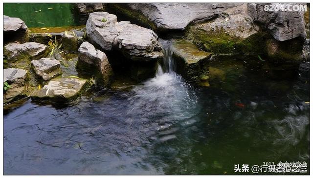 山东行游影记（2）—济南趵突泉（二）
