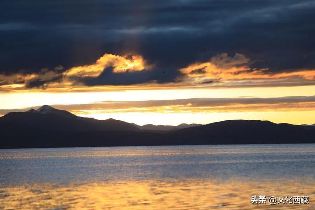 极致风光，唯有西藏阿里！初冬的金色童话一眼沦陷！