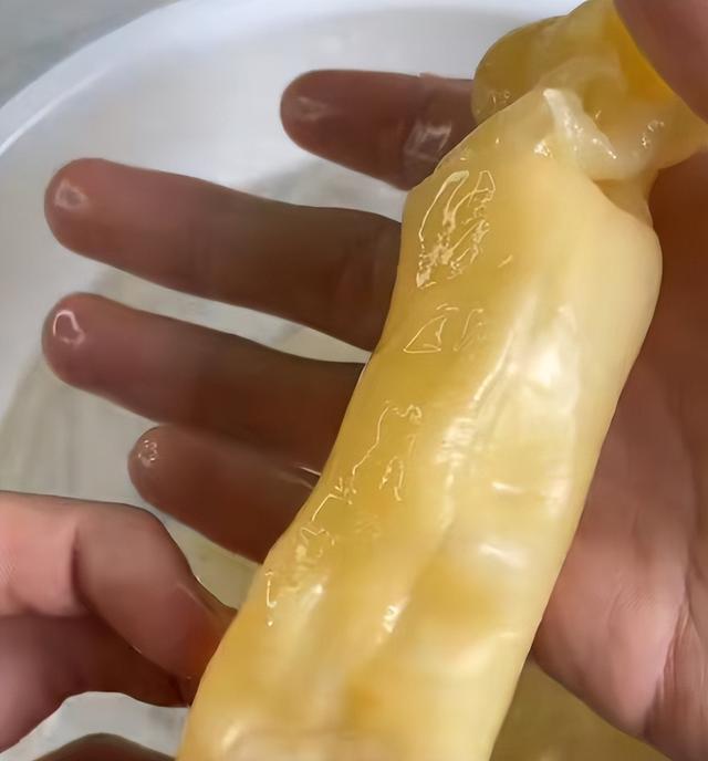 梦港花胶造假 2026年花胶有造假的吗