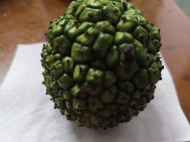 去别人呆腻的地方逛吃逛吃(珠海篇)
