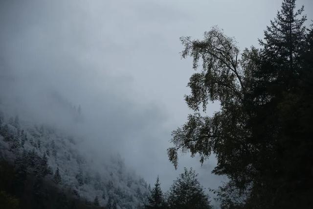 达古冰川 “不止 4860 米” 的深度浪漫，藏着信仰与烟火气