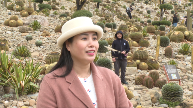 开门红！弥勒上央视了！