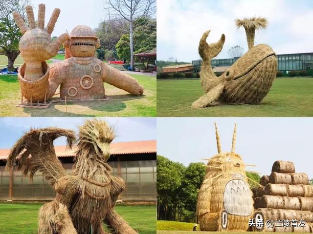 好客山东好品山东｜临沂遛娃去哪儿？初冬攻略收藏就出发～