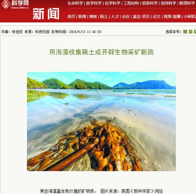 美国稀土技术革命性突破，可用效率达顶尖水平，中国地位遭威胁？