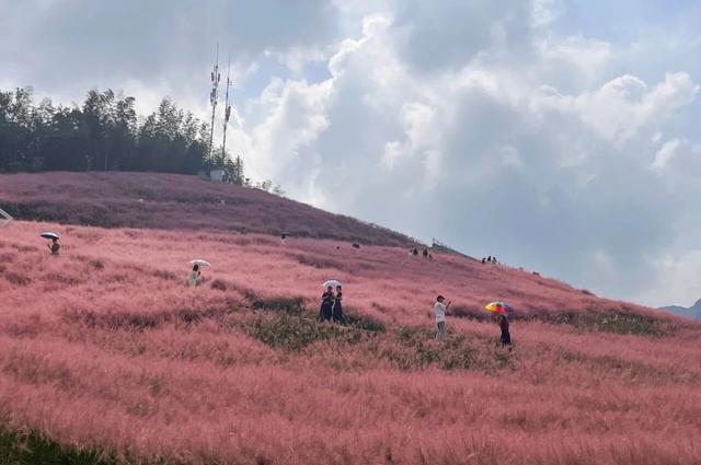 金谷满仓，客盈满堂！共富之路的西坞答案