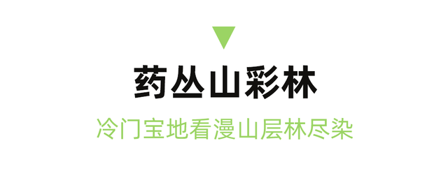 正式通车！全线免费！新挖赏秋天花板小城，绝美彩林不输九寨！地道美食50元吃爽！