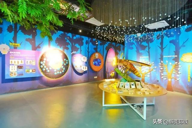 “两山”理念20年丨成都天台山：擦亮萤火虫IP，生态保护与经济效益双丰收‌