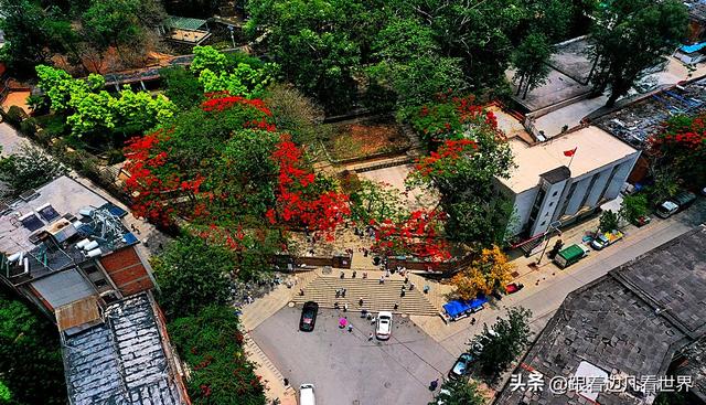 云南易门绿汁镇：凤凰花与旧时光的邂逅