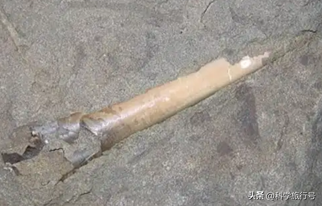 史前文明证据？一亿多年前的地层，惊现大量被铁钉穿喉杀死的鱼