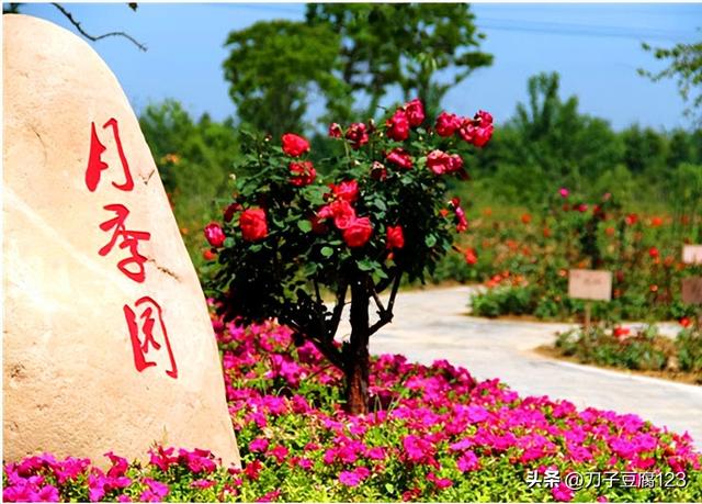 大蜀山列入合肥市文化遗产保护名录