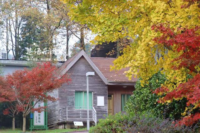美到封神？余姚这处风景确实名不虚传，斑斓风景正值最佳观赏季