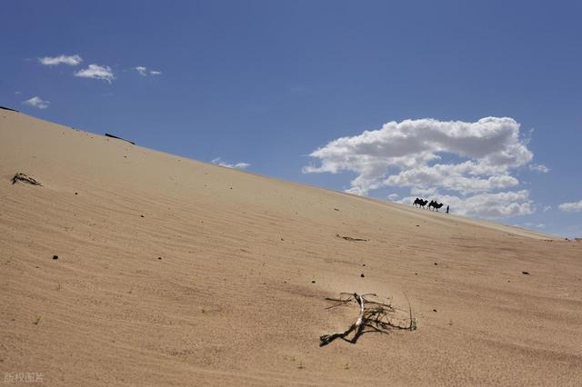 沙漠 | 不止西北！这些“家门口”的沙海颠覆你的认知