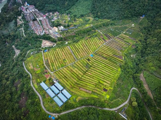 藏地秘境栖心处：墨脱述野隐世山居酒店的深度慢旅体验