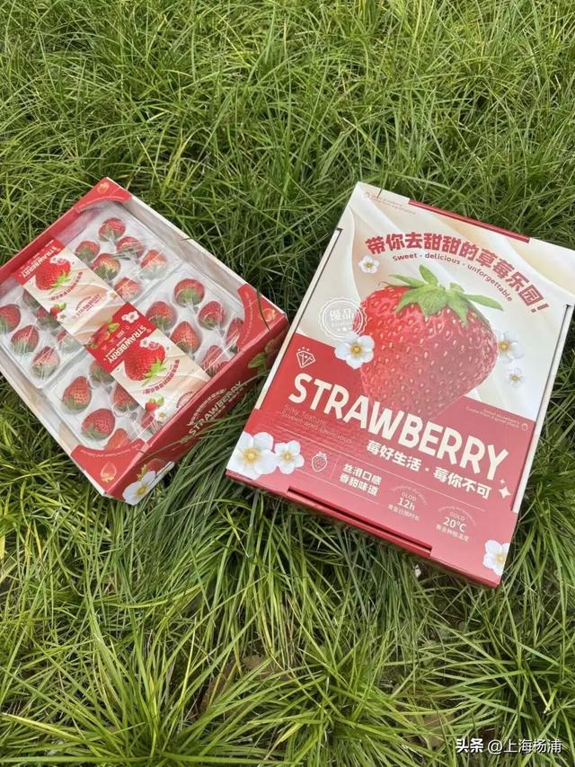 来复兴岛当一天快乐“岛民”