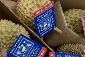 菲律宾当地榴莲丰收，向我国大量出口，我们要争取民心反对马科斯图片
