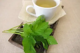 咽炎、痰多、扁桃体炎、嗓子红肿，4个中成药，清热利咽消痰图片