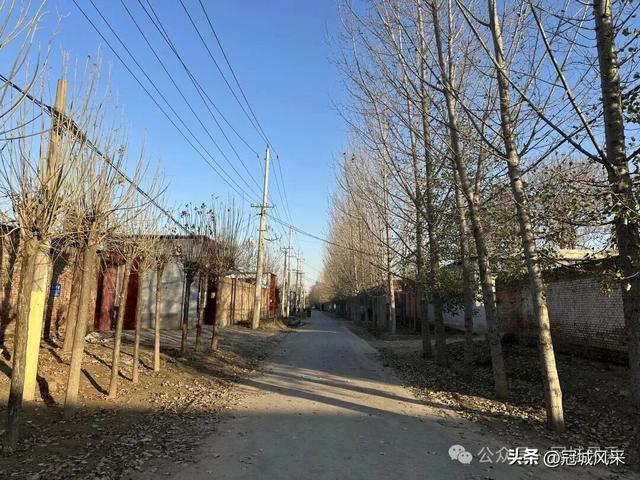 冠县乡韵·贾镇荆楼村