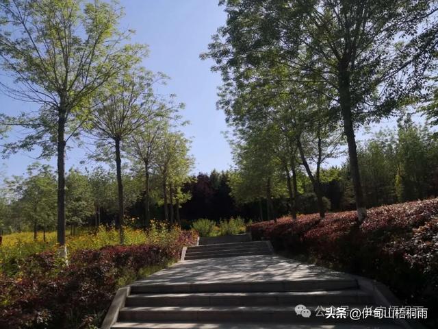 新疆之行（九）博乐，一座令人心动的宜居城市