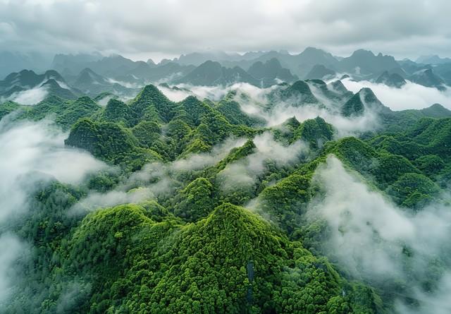 为什么说贵州是“中国最宝藏的省份”？看完这九大市州我服了