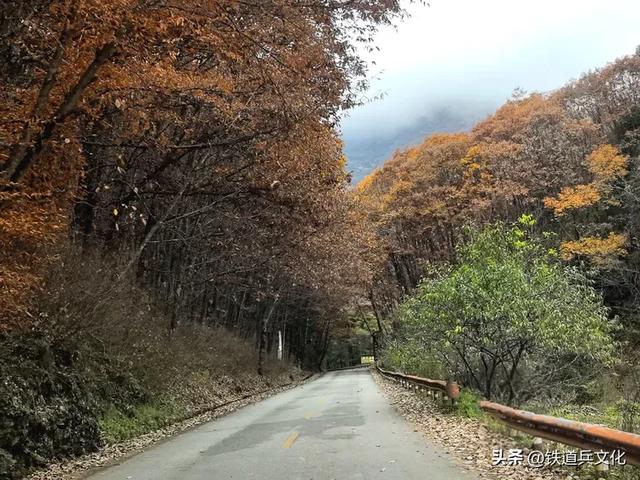 车过神农架【原创】作者:原铁十师陶玉和