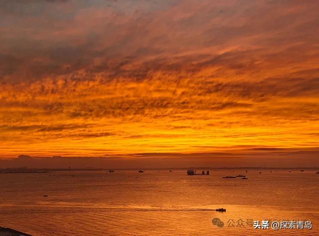 青岛胶州湾火了！