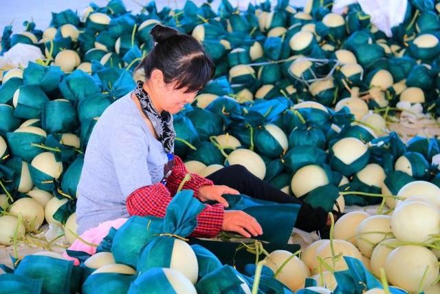中国哈密瓜之乡新疆鄯善，千年村落藏历史，哈密瓜香飘四方