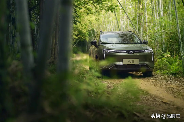 又一知名国产车跌落神坛！350亿被冻结，500亿投资成“一地鸡毛”